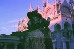 Olympus Trip 35 Watermelon Leather Point and Shoot 35mm Film Camera