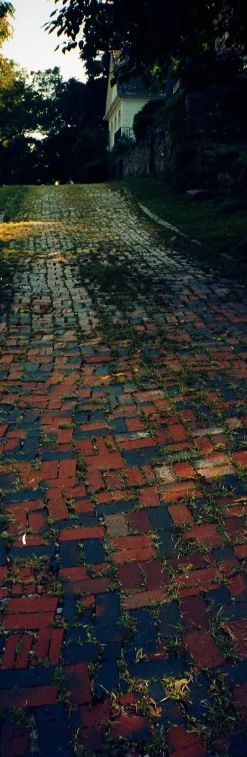 Olympus Trip Panorama 35mm Film Camera Point and Shoot