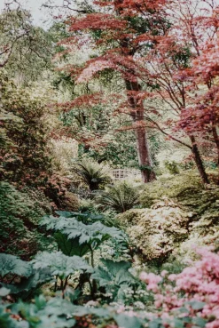 Olympus XA4 MACRO 35mm Film Camera Point and Shoot