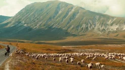 Pentacon 50mm f/1.8 Camera Lens