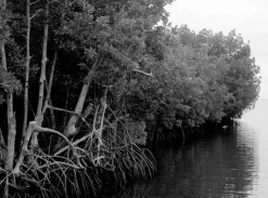 Pentax 645 With 55mm F2.8 Lens. 6X4.5 Medium Format Film Camera.