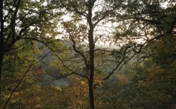 Pentax Espio 738 BLACKOUT 35mm Film Camera Point and Shoot