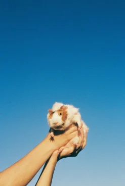 Pentax Espio 738G Black 35mm Film Camera Point and Shoot