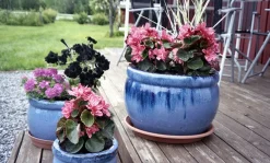 Pentax Espio 140V 35mm Film Camera Point and Shoot