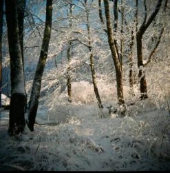 Pentax K1000 Brown Leather Vintage SLR 35mm Film Camera with Pentax f/2 50mm Prime Lens.