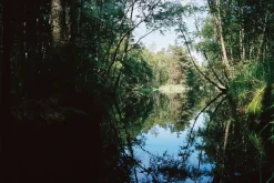 Pentax K1000 Brown Leather Vintage SLR 35mm Film Camera with Pentax f/2 50mm Prime Lens.