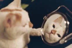 Pentax K1000 Green Leather Vintage SLR 35mm Film Camera with Pentax f/2 50mm Prime Lens