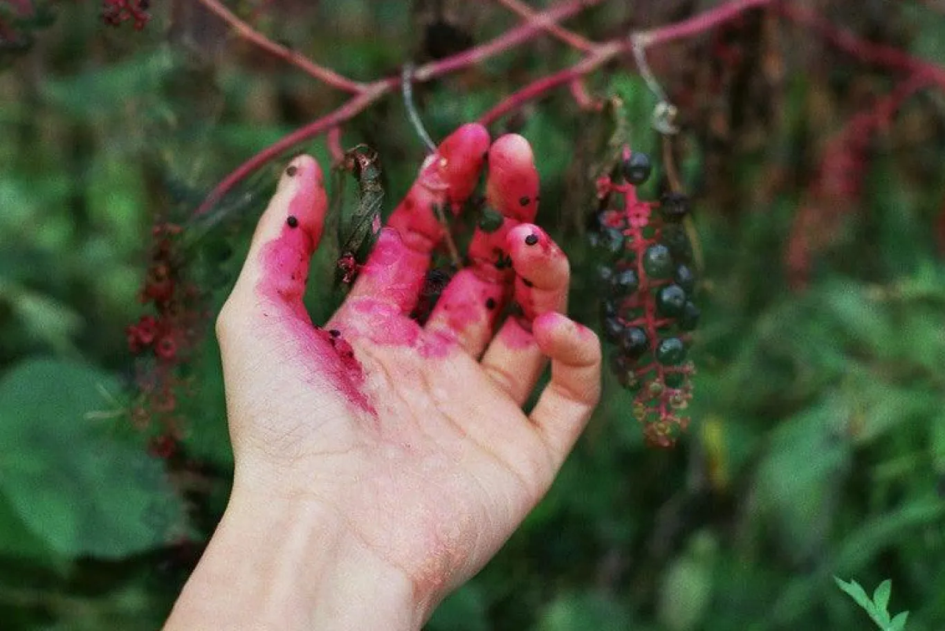 Pentax P30 Vintage SLR 35mm Film Camera with f/1.2 50mm Prime Lens