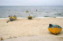 Pentax Z-20 35mm SLR Film Camera - Body Only