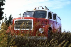 Pentax Z-20 35mm SLR Film Camera - Body Only