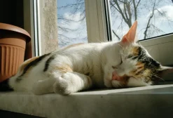 Pentax-A SMC 28mm f/2.8 Camera Lens