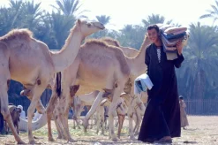 Pentax-M SMC 28mm f/2.8 Camera Lens