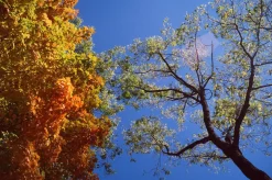 Pentax-M SMC 28mm f/3.5 Camera Lens