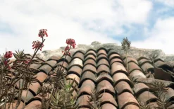 Petri - 7S. 35mm Rangefinder With 45mm F2.8 Lens