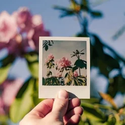 Polaroid 636 Close Up Instant Film Camera