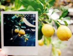 Polaroid Land Camera 2000 Instant Film Camera