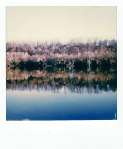 Polaroid Originals 600 Colour Instant Film 8 shots.