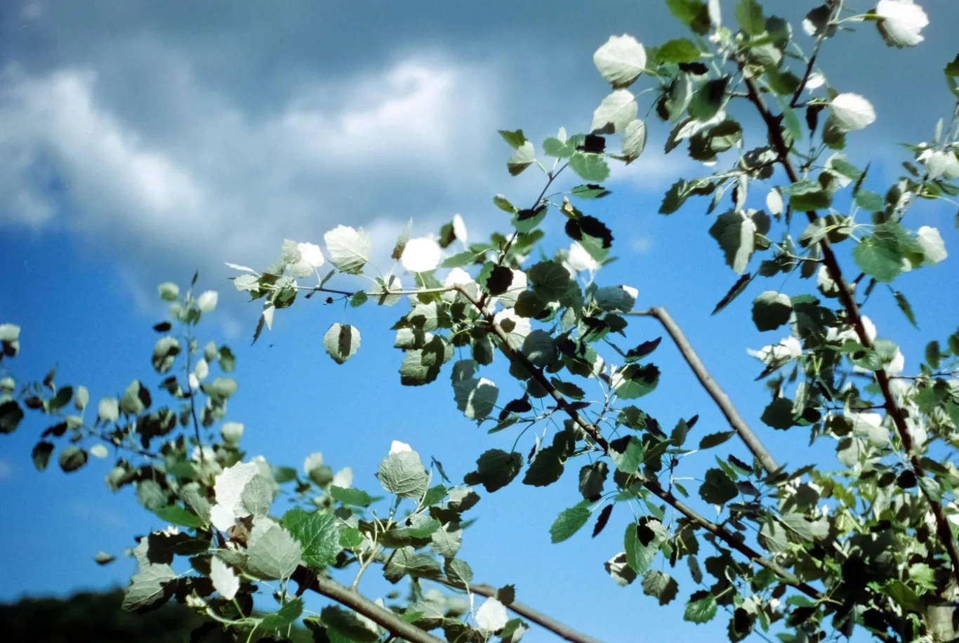 Praktica VF Vintage Metal 35mm SLR Film Camera with Prime Lens