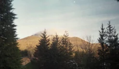 Red Olympus XA2 35mm Film Camera Point and Shoot w/ Olympus A11 Flash (Boxed)