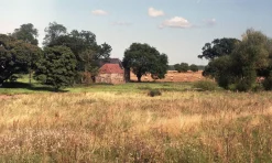 Red Olympus XA2 35mm Film Camera Point and Shoot w/ Olympus A11 Flash (Boxed)