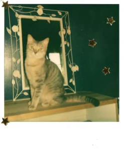 Retro Polaroid ONE 600 Instant Film Camera