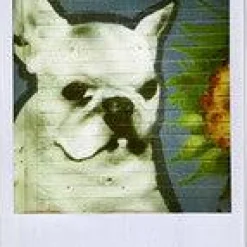 Retro Polaroid Supercolour 635