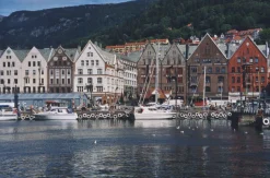 Ricoh KR-10M Auto 35mm Film Camera with 50mm Lens