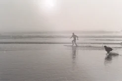 Ricoh 50mm f/1.2 Camera Lens