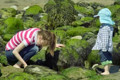 Ricoh XR Rikenon 135mm f/2.8 Camera Lens