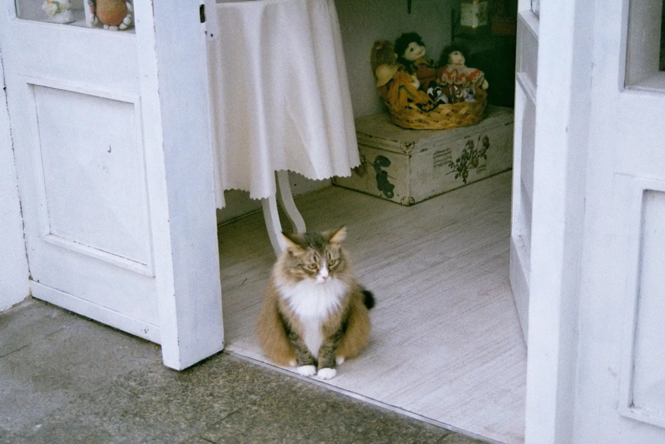 Sicor Macro 28mm f/2.8 Camera Lens