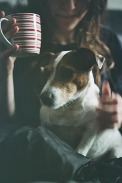 Sicor Macro 28mm f/2.8 Camera Lens