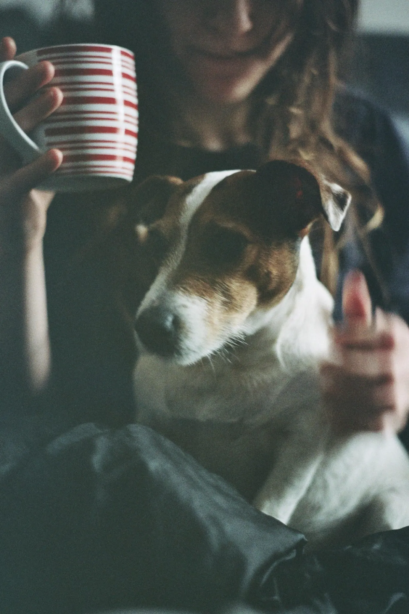 Sicor Macro 28mm f/2.8 Camera Lens