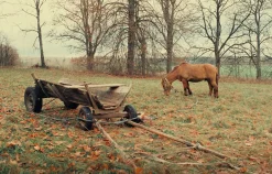 Sigma 35mm f/2.8 Camera Lens