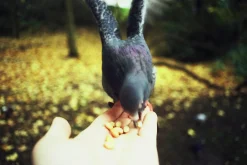 Sigma 24mm f/2.8 Super Wide Angle Camera Lens