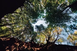 Sigma 24mm f/2.8 Super Wide Angle Camera Lens