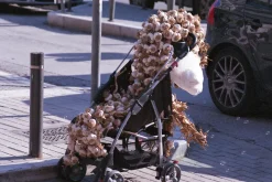 SMC Pentax-M 135mm f/3.5 Camera Lens