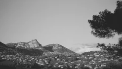 Street Candy MTN 100 - Black & White 35mm Film