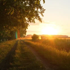 Sunactinon 28mm f/2.8 Camera Lens