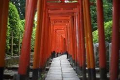 Takumar SMC 55mm f/1.8 Prime Camera Lens