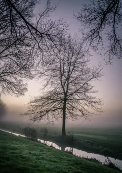 Tamron 200mm f/3.5 Camera Lens