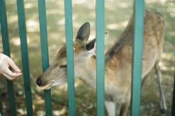 Tokina 28mm f/2.8 Camera Lens