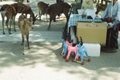 Tokina RMC 28mm f/2.8 Camera Lens