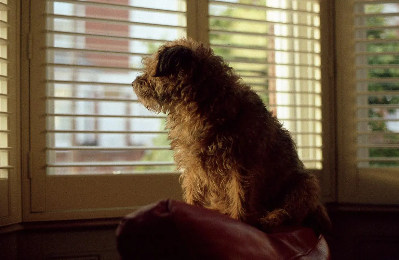 Vintage Pentax 35mm SLR Film Camera with Prime Lens