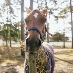 Vivitar 28mm Wide Angle f/2.8 Camera Lens