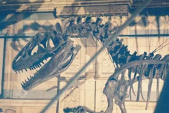 Yashica 230-AF Auto 35mm Film Camera w/f1.8 50mm Lens and Flash