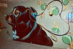 Yashica 230-AF Auto 35mm Film Camera w/f1.8 50mm Lens and Flash