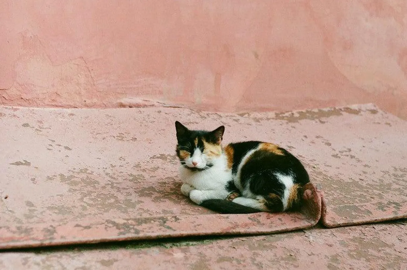 Zenit E Vintage Metal 35mm SLR Film Camera